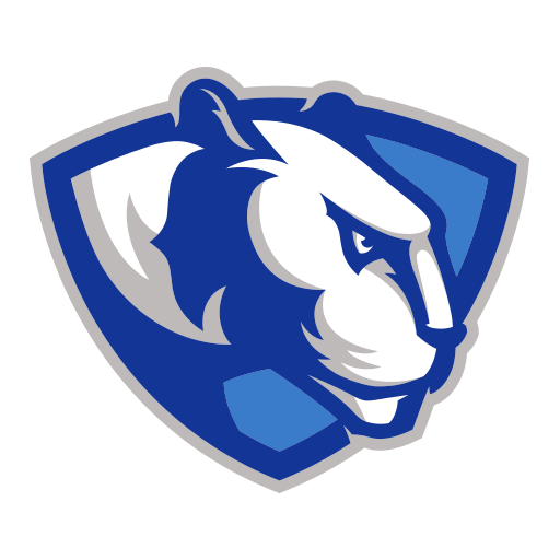 Team Badge icon