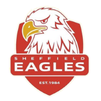 Former team badge icon