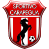 home team badge