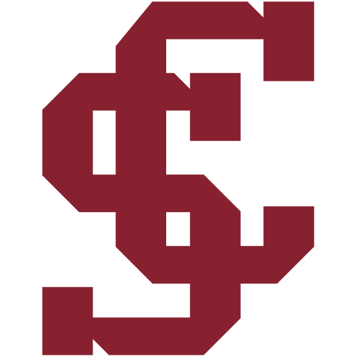 Team Badge icon