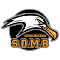 Former team badge icon