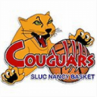 Former team badge icon