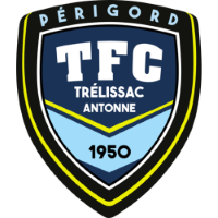 Former team badge icon