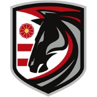 Former team badge icon