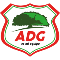 Former team badge icon