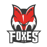 Former team badge icon
