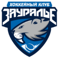 Former team badge icon