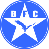 tiny home badge icon