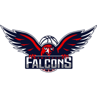 Former team badge icon