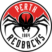 Former team badge icon