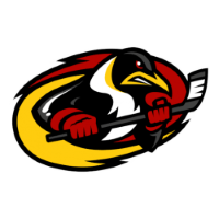 Former team badge icon