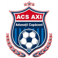 Team Badge