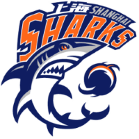 Former team badge icon