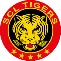 Former team badge icon