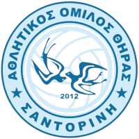 Former team badge icon