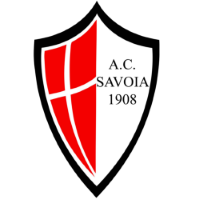 Former team badge icon