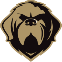 Former team badge icon