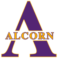 Former team badge icon