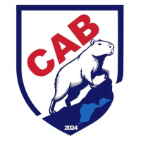 Team Badge
