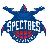 Former team badge icon