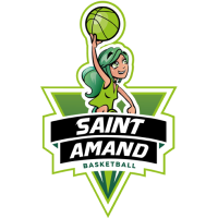 Former team badge icon