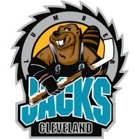Former team badge icon