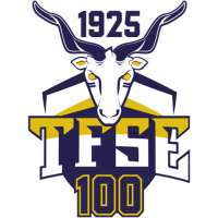 Former team badge icon