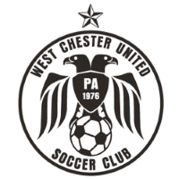 Former team badge icon