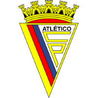 Former team badge icon