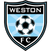 home team badge