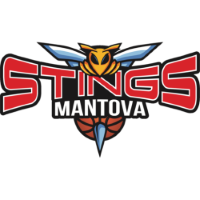 Former team badge icon