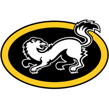 Team Badge