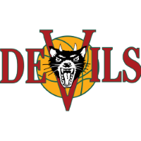 Former team badge icon