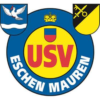 team badge