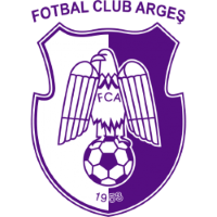 Former team badge icon