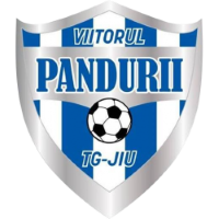 Former team badge icon