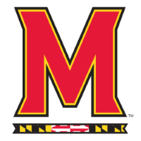 Former team badge icon