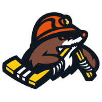 Former team badge icon