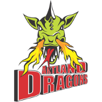 Former team badge icon