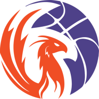 Former team badge icon