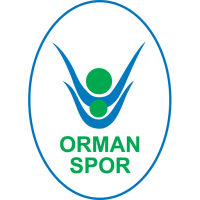 Former team badge icon