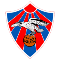 Former team badge icon