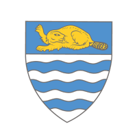 Team Badge