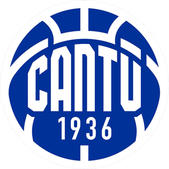 team badge