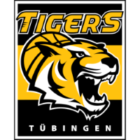 Former team badge icon