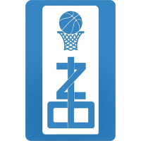 Former team badge icon