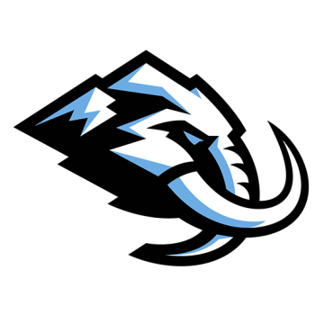 Team Badge