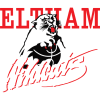 Former team badge icon
