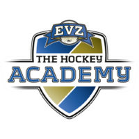 Former team badge icon