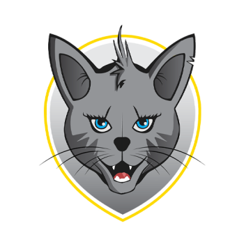 home team badge